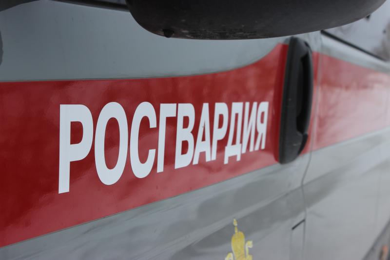 В Челябинске росгвардейцы задержали двоих подозреваемых в краже