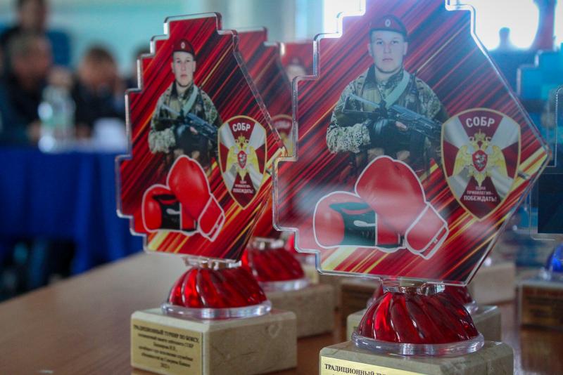 В Чувашии состоялся памятный турнир по боксу, посвященный погибшему лейтенанту СОБР Изосиму Башкирову
