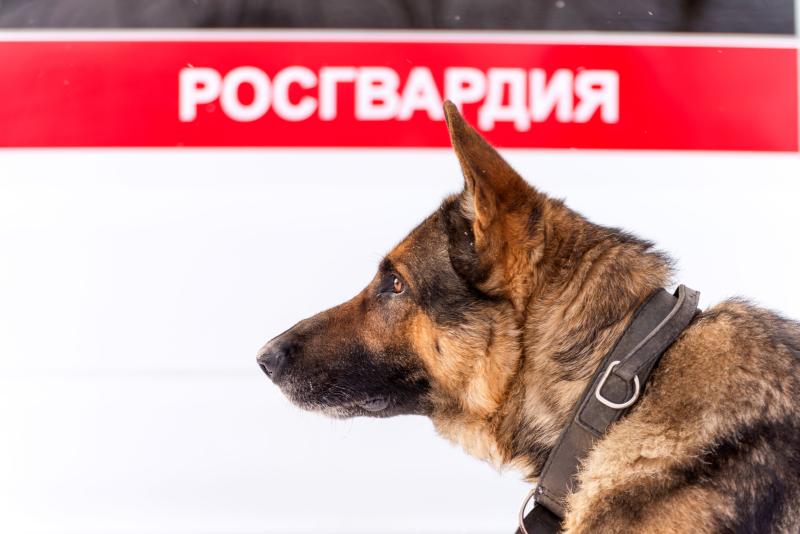 В Екатеринбурге при содействии Росгвардии обеспечена охрана порядка на матче Континентальной хоккейной лиги