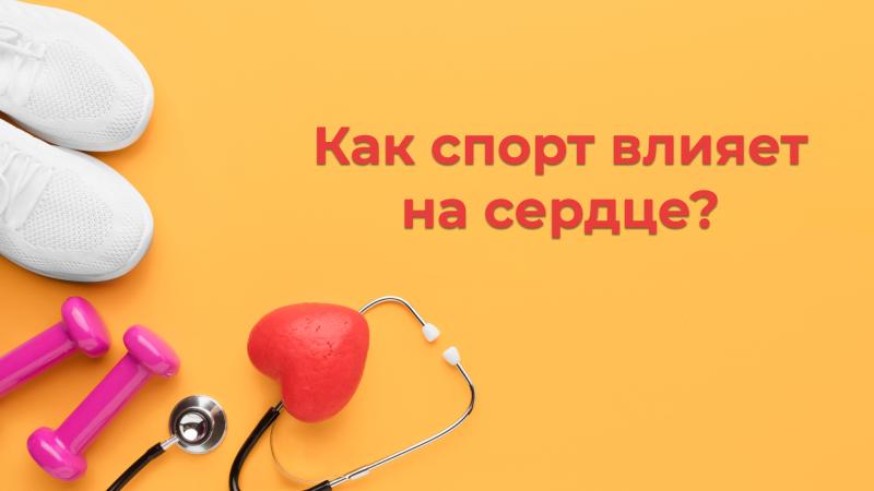 Как спорт влияет на сердце?