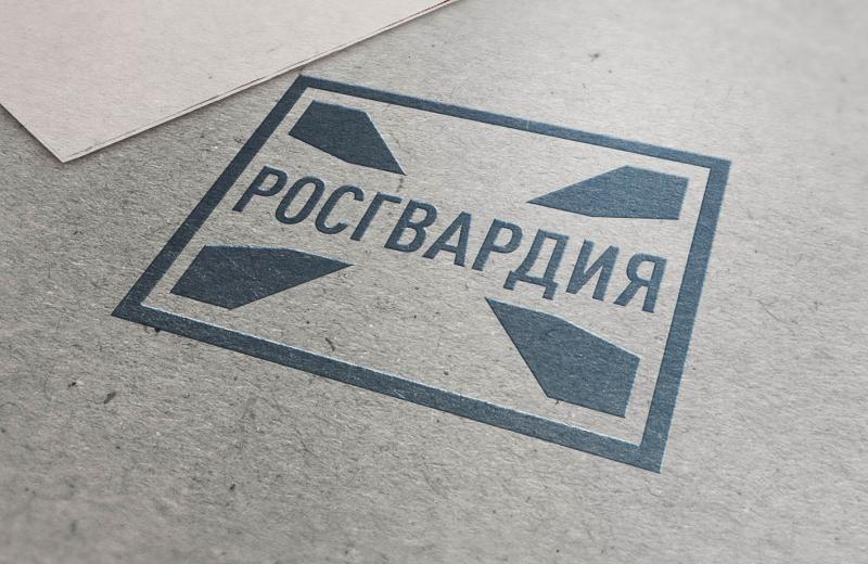 В Мордовии росгвардейцы примут участие в обеспечении охраны общественного порядка во время проведения футбольного матча РПЛ